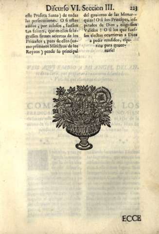 223
