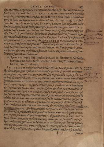 261