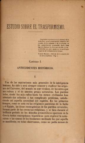 Capítulo I. Antecedentes históricos