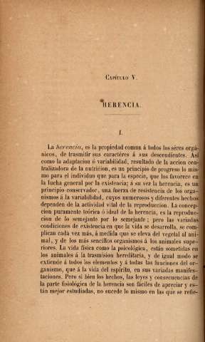 Capítulo V. Herencia