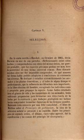 Capítulo V. Seleccion