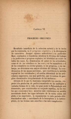 Capítulo VI. Progreso orgánico