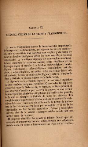 Capítulo IX. Consecuencias de la teoría trasformista