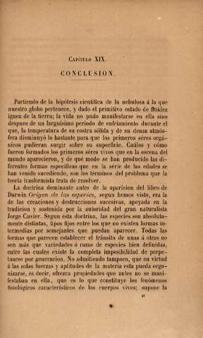 Capítulo XIX. Conclusion