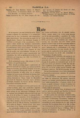 Rute