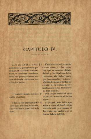 Capítulo IV