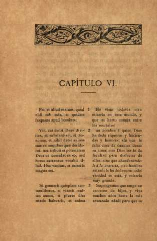 Capítulo VI