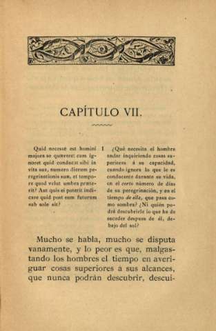 Capítulo VII