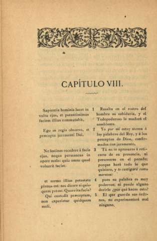 Capítulo VIII