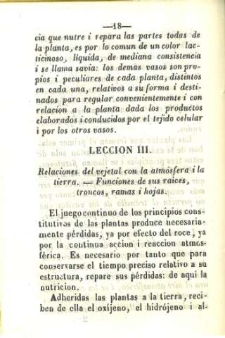 Leccion III