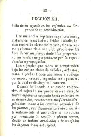 Leccion XII