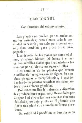 Leccion XIII