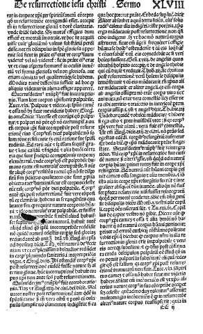 EE ii