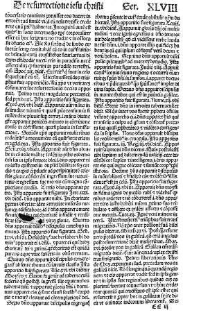 EE iii