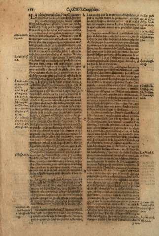 164