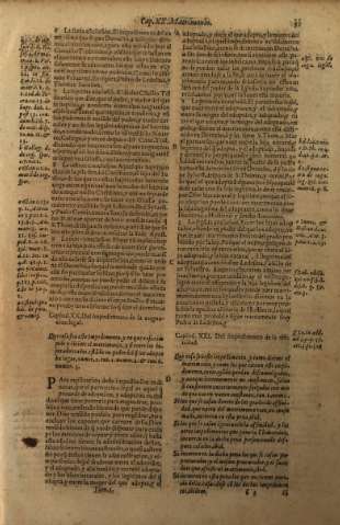 Capitul. XX. Del impedimento de la cognacion legal