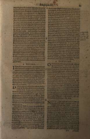 81