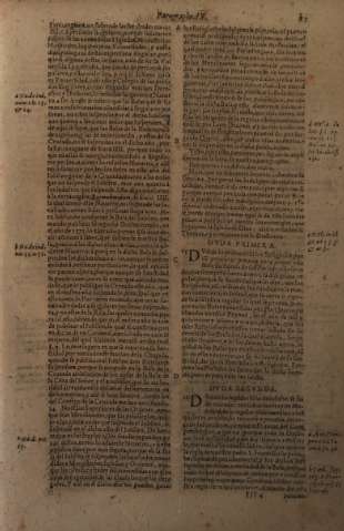Paragrapho IX. Dvda Primera