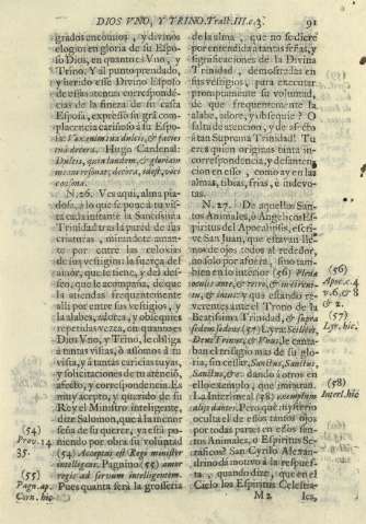 91