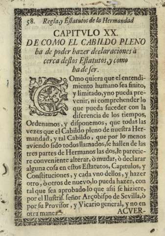 Capitulo XX. De como el cabildo pleno ba de poder hazer declaraciones ...
