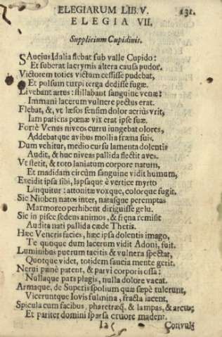 131