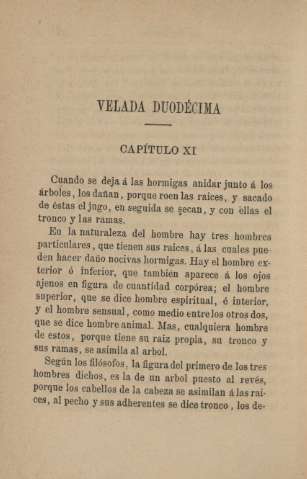 Velada duodécima. Capítulo XI