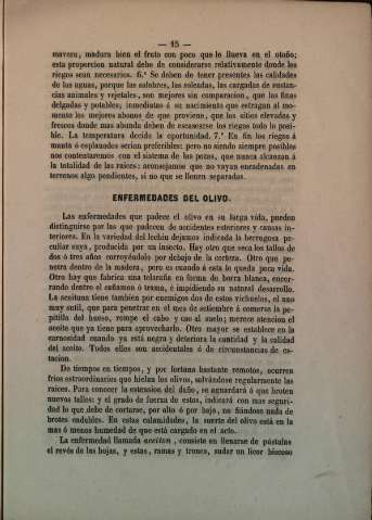 Enfermedades del olivo