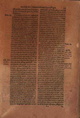 55