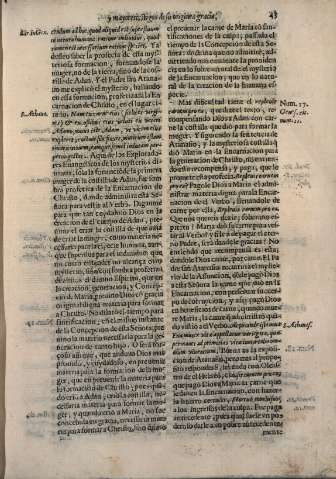 43