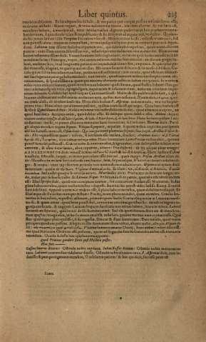 213