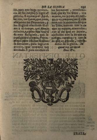 231