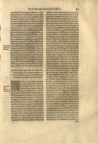 Capitulo XI