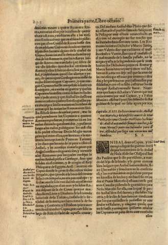 Capitulo XIII
