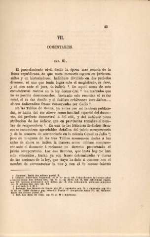 VII. Comentarios