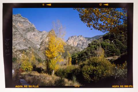 12-04
