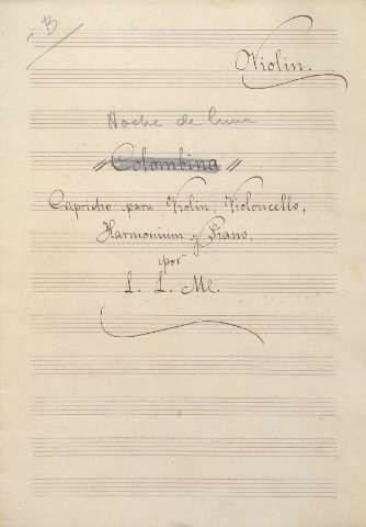 Violín