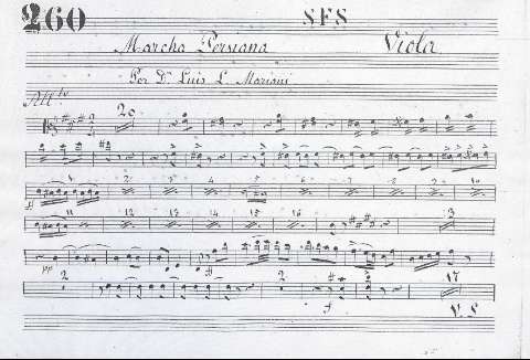 Viola