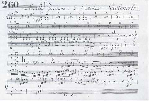 Violonchelo