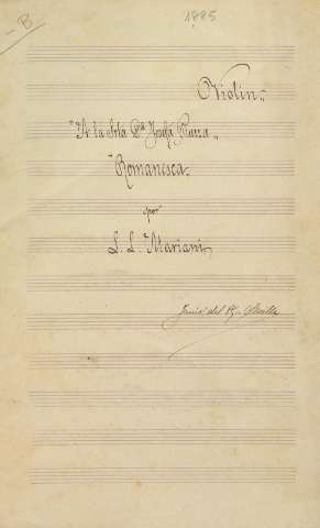 Violín
