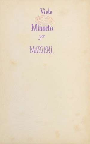 Viola