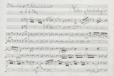 Violón y Contrabajo