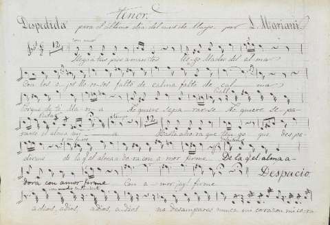 Tenor