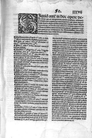 Siquid autem in hoc opere deesse...