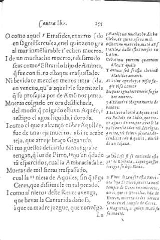255