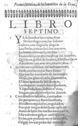Libro VII