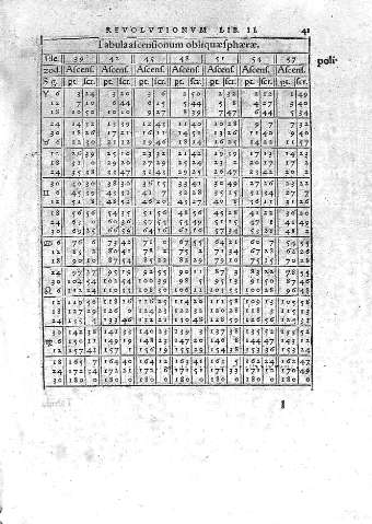 41