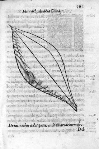 79
