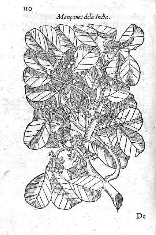 110