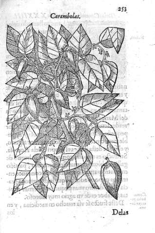 253