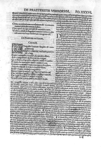 XXXVI